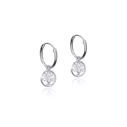 Viceroy pendientes 71057e000-30 plata mujer